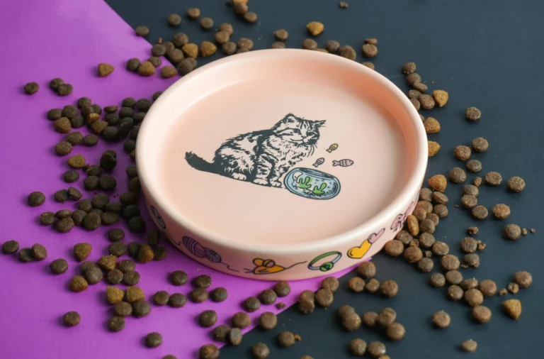 A light pink cat food dish with an illustration of a cat, surrounded by kibble.